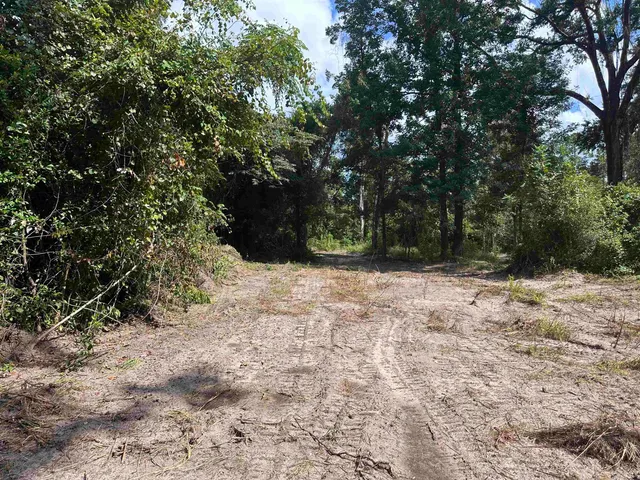 $120,000 | Xx Donaldson-Williams Road, Crawfordville, FL 32327