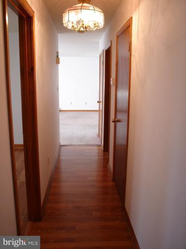 314 Utah Road Stevensville, MD 21666 - Photo 16 of 20 Interior (General)
