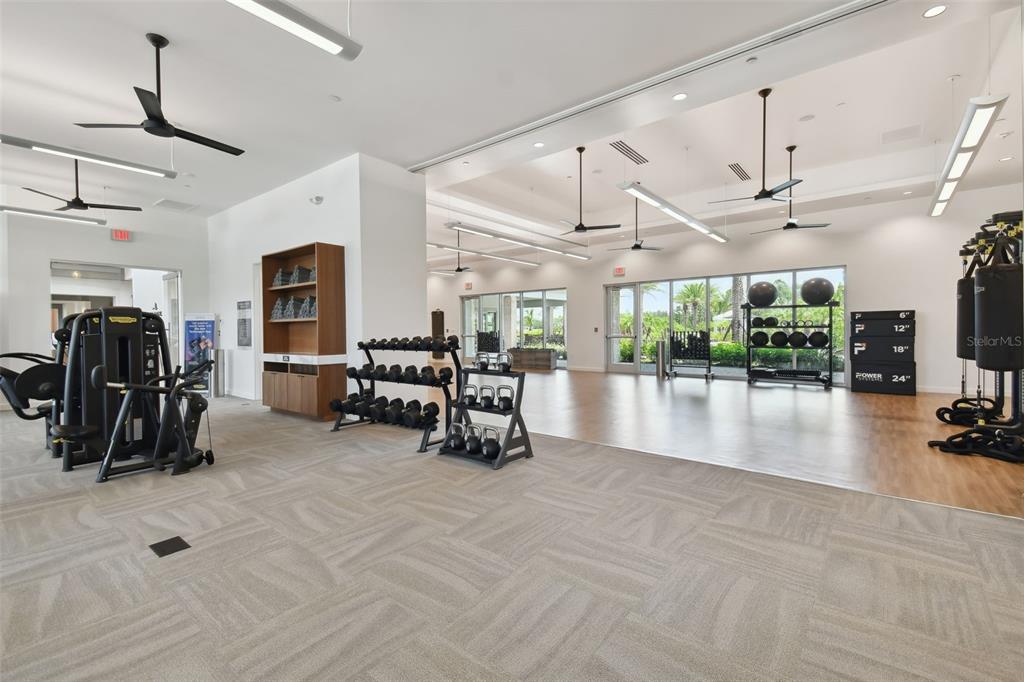 4647 Garofalo Road Wesley Chapel, FL 33543 - Photo 78 of 92