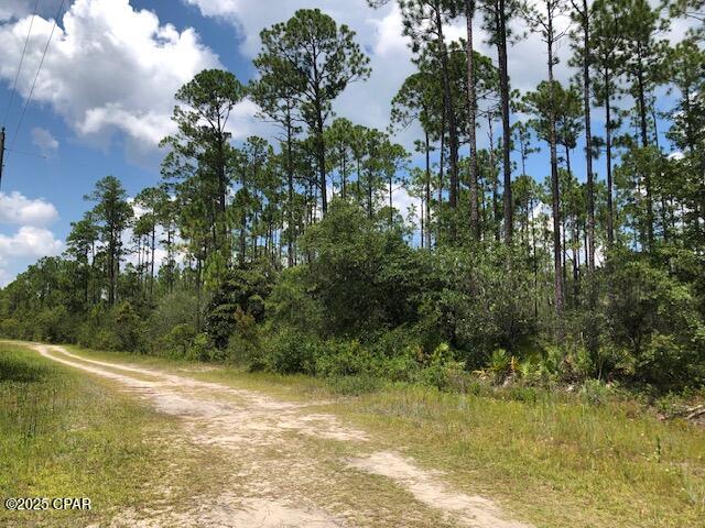 0 Timbercrest Road Fountain, FL 32438 - Photo 2 of 9