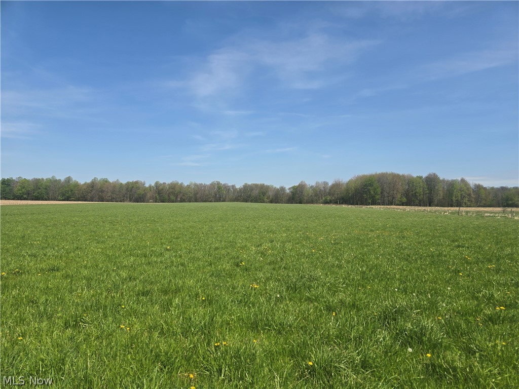 Tische Road Jefferson, OH 44047 - Photo 1 of 21