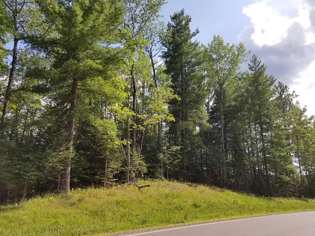 Lot 10 Cth Ff Mercer, WI 54547 - Photo 1 of 21 Gallery Image 1