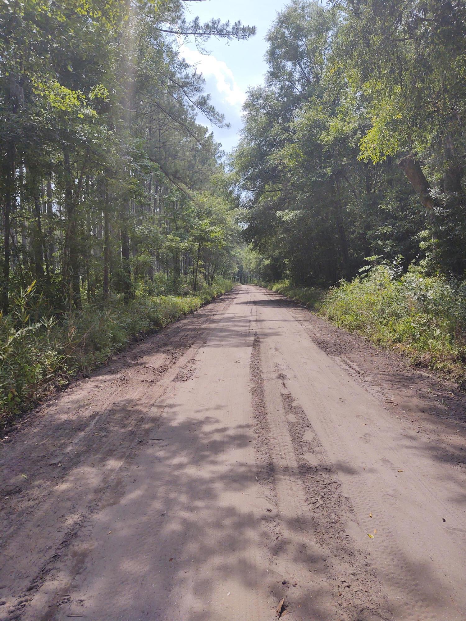 0 Dawhoo Road Hollywood, SC 29449 - Photo 2 of 4 IMG_20210524_145620946