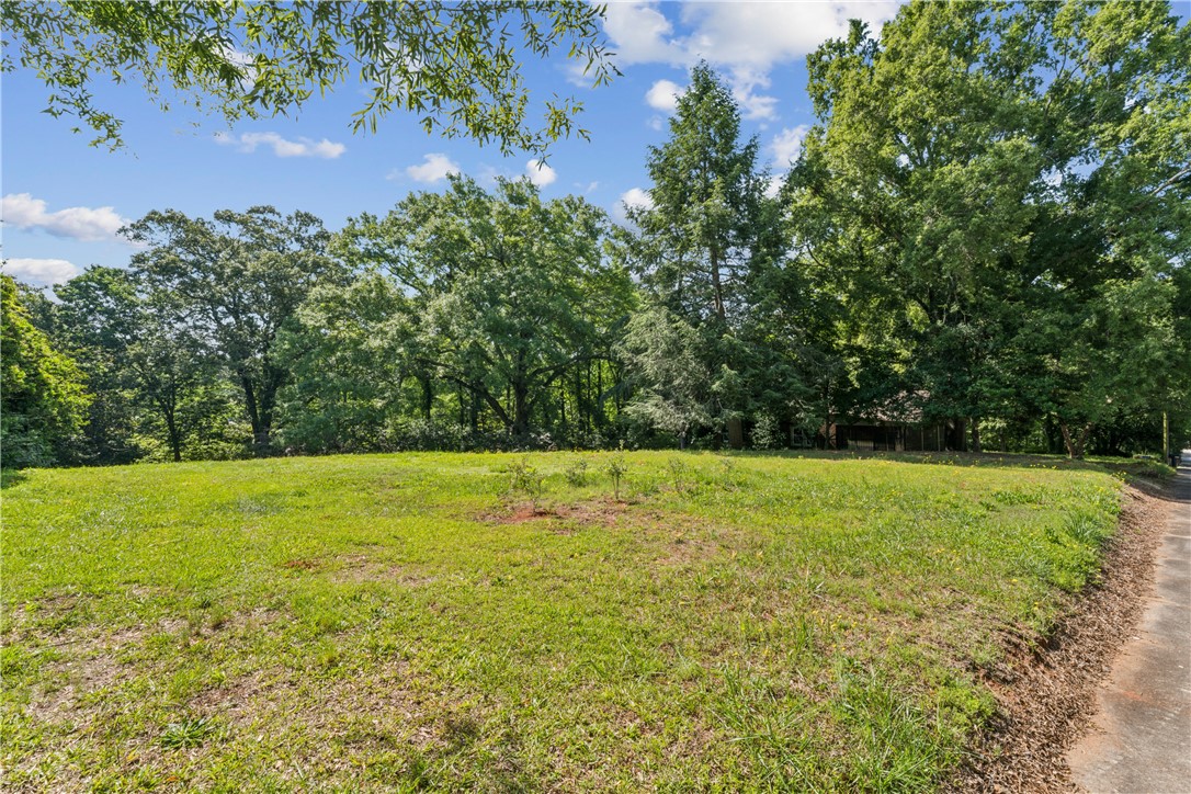 321 South Pine Street Walhalla, SC 29691 - Photo 26 of 28 A spacious, verdant lot awaits your vision, bordered by a dense line of mature trees.