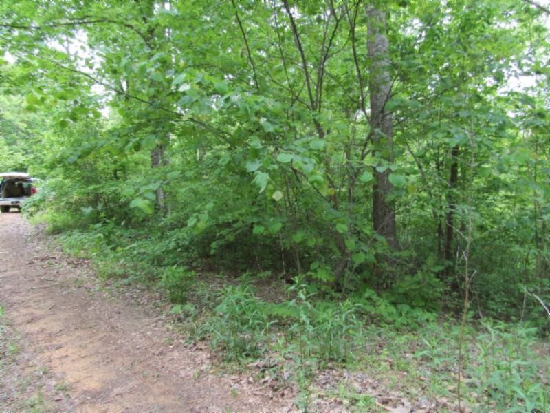 3 White Oak Rdg Road Celina, TN 38551 - Photo 9 of 20 Gallery Image 9