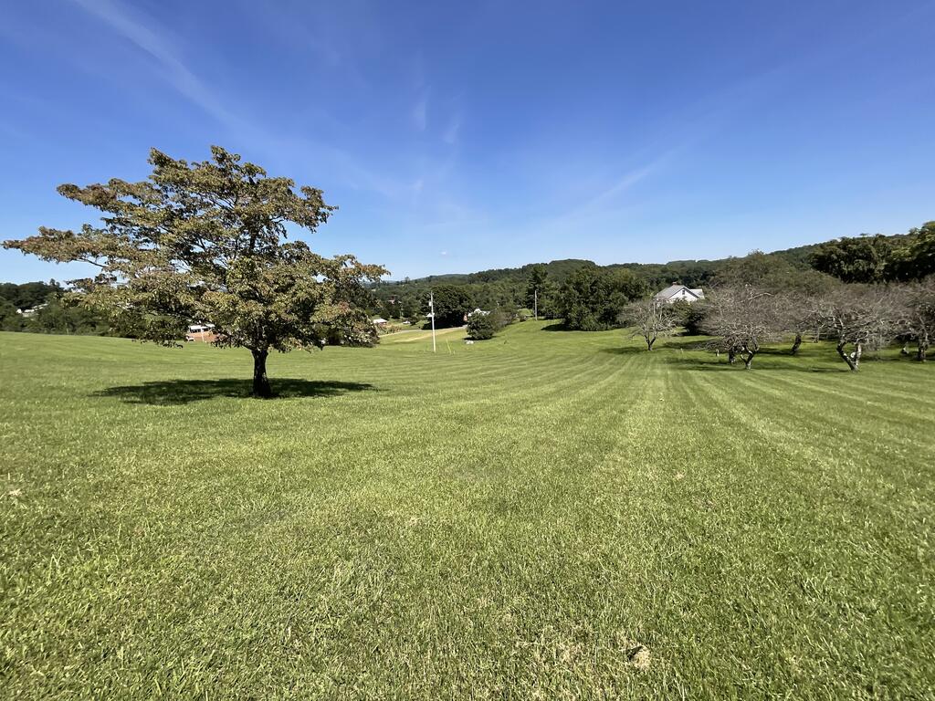 437 Alpine Crest Road Fancy Gap, VA 24328 - Photo 6 of 66 Gallery Image 6