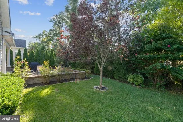 a view of yard with green space