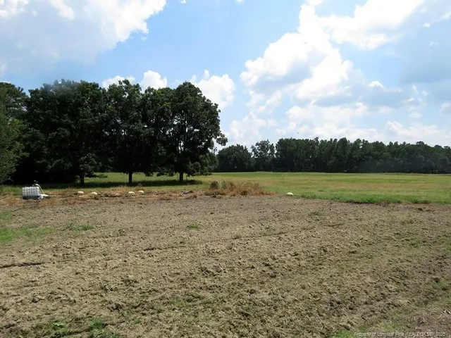a view of a field with an trees