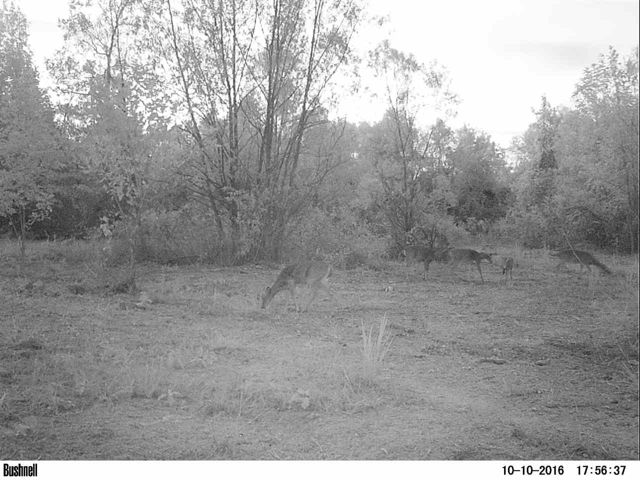0 Alva Stage Road, Unit 151 Kilmichael, MS 39747 - Photo 28 of 35 Photo 28
