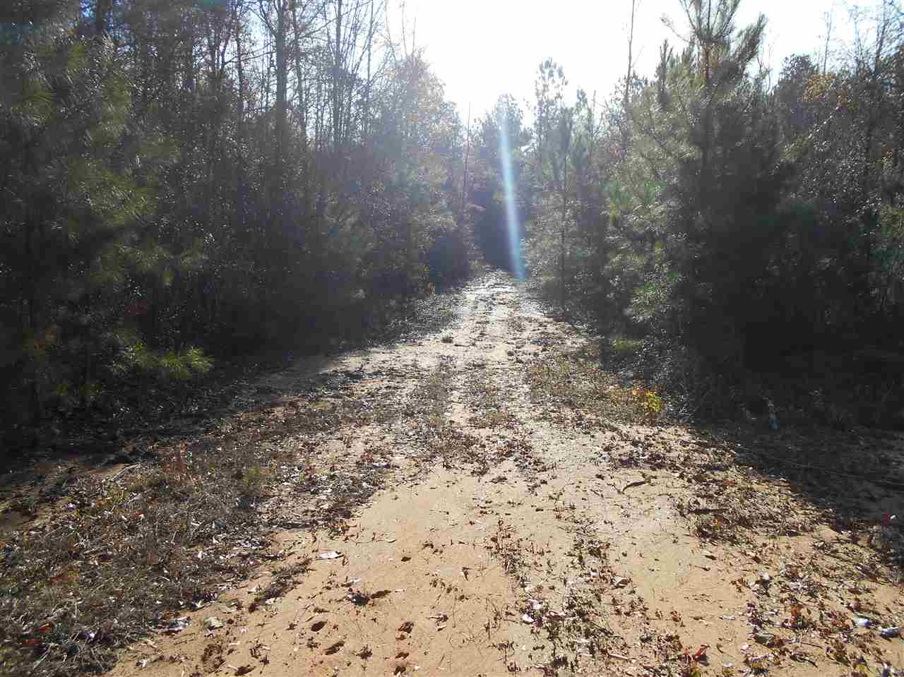 0 Alva Stage Road, Unit 151 Kilmichael, MS 39747 - Photo 3 of 35 Photo 3