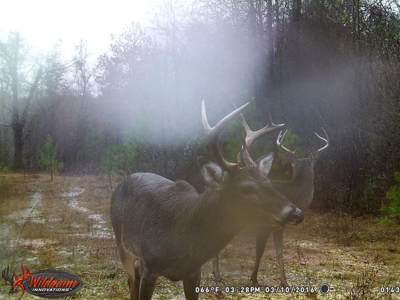 0 Alva Stage Road, Unit 151 Kilmichael, MS 39747 - Photo 32 of 35 Photo 32