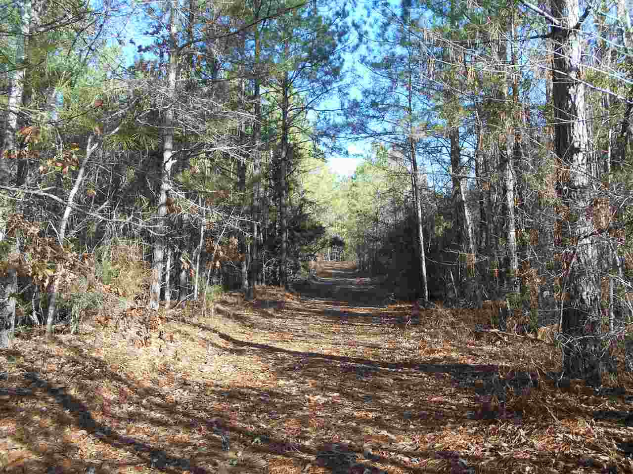 0 Alva Stage Road, Unit 151 Kilmichael, MS 39747 - Photo 4 of 35 Photo 4