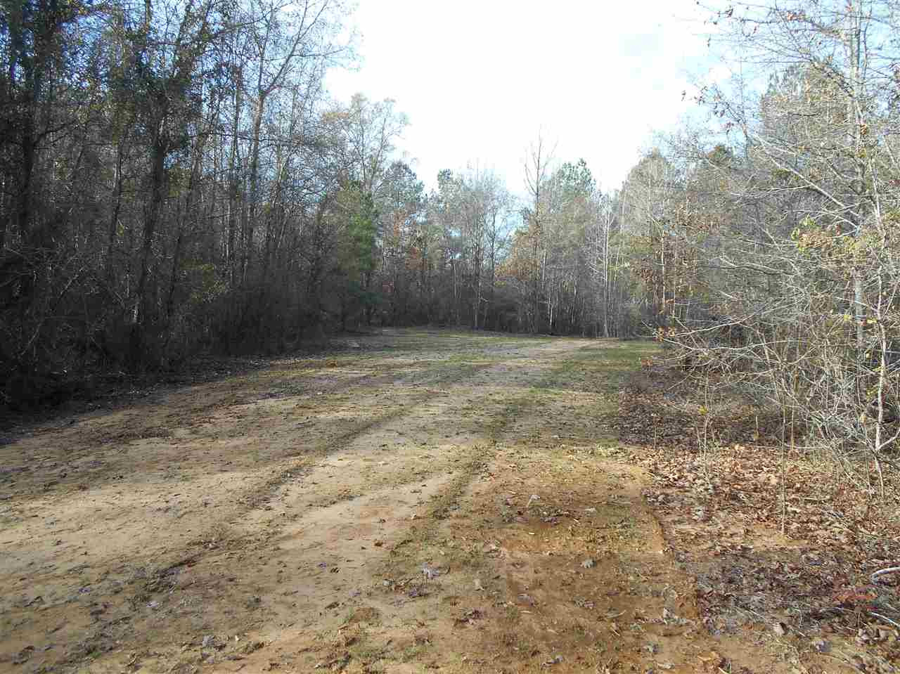 0 Alva Stage Road, Unit 151 Kilmichael, MS 39747 - Photo 7 of 35 Photo 7