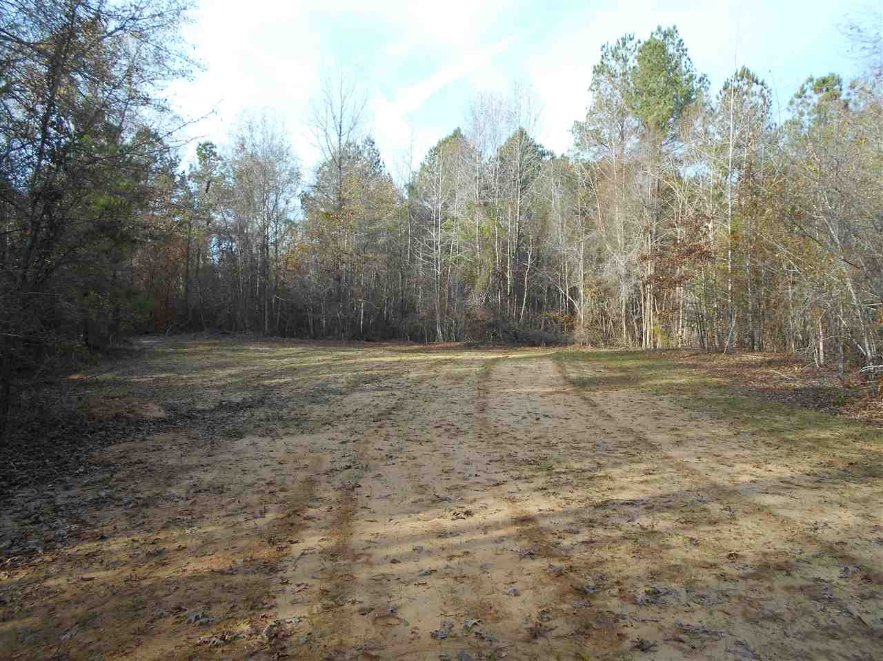 0 Alva Stage Road, Unit 151 Kilmichael, MS 39747 - Photo 8 of 35 Photo 8