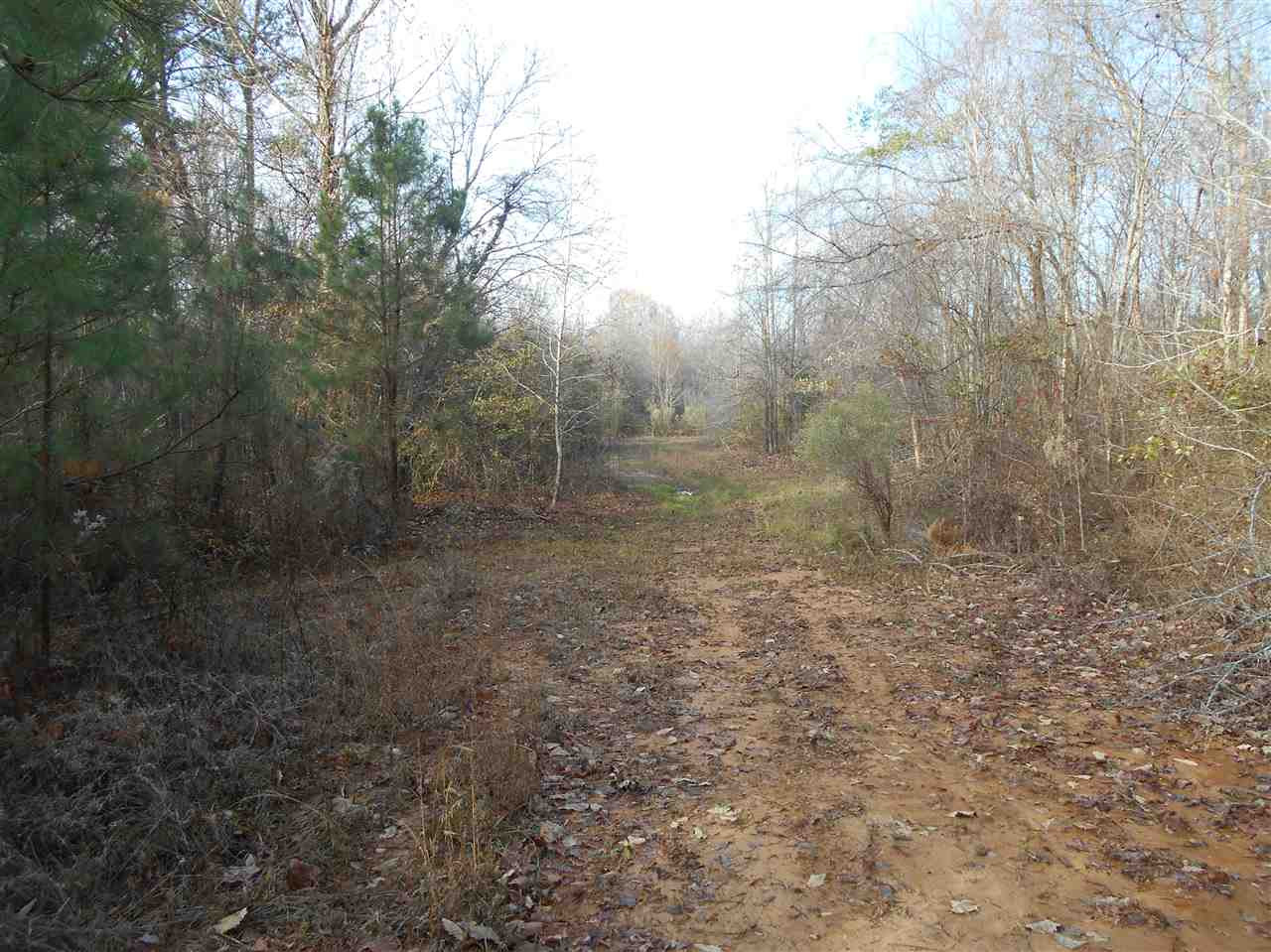 0 Alva Stage Road, Unit 151 Kilmichael, MS 39747 - Photo 9 of 35 Photo 9