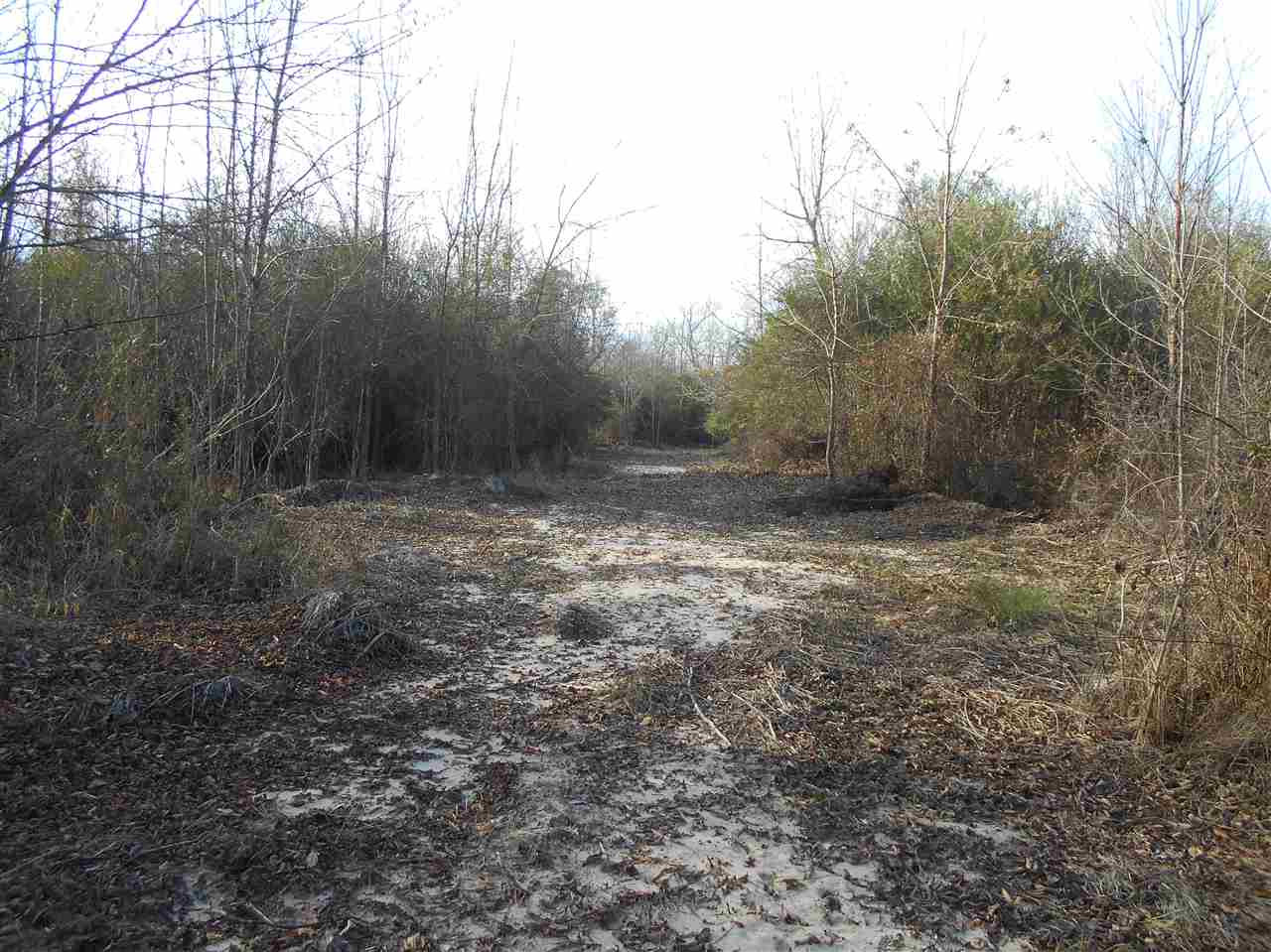 0 Alva Stage Road, Unit 151 Kilmichael, MS 39747 - Photo 10 of 35 Photo 10