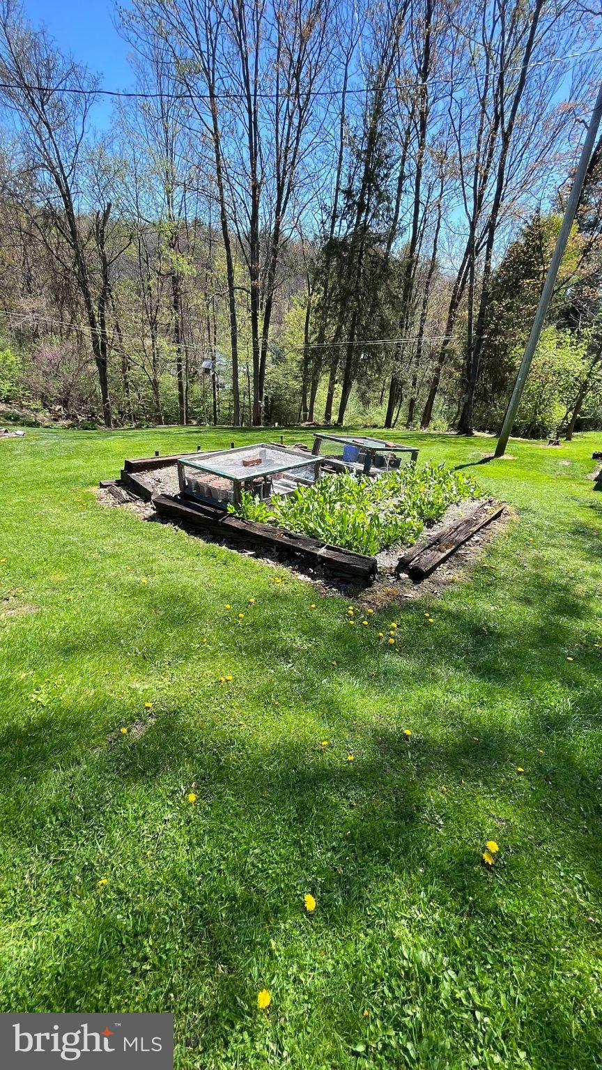 2290 Purdue Mountain Road Bellefonte, PA 16823 - Photo 20 of 48 Lush garden oasis in serene landscape.