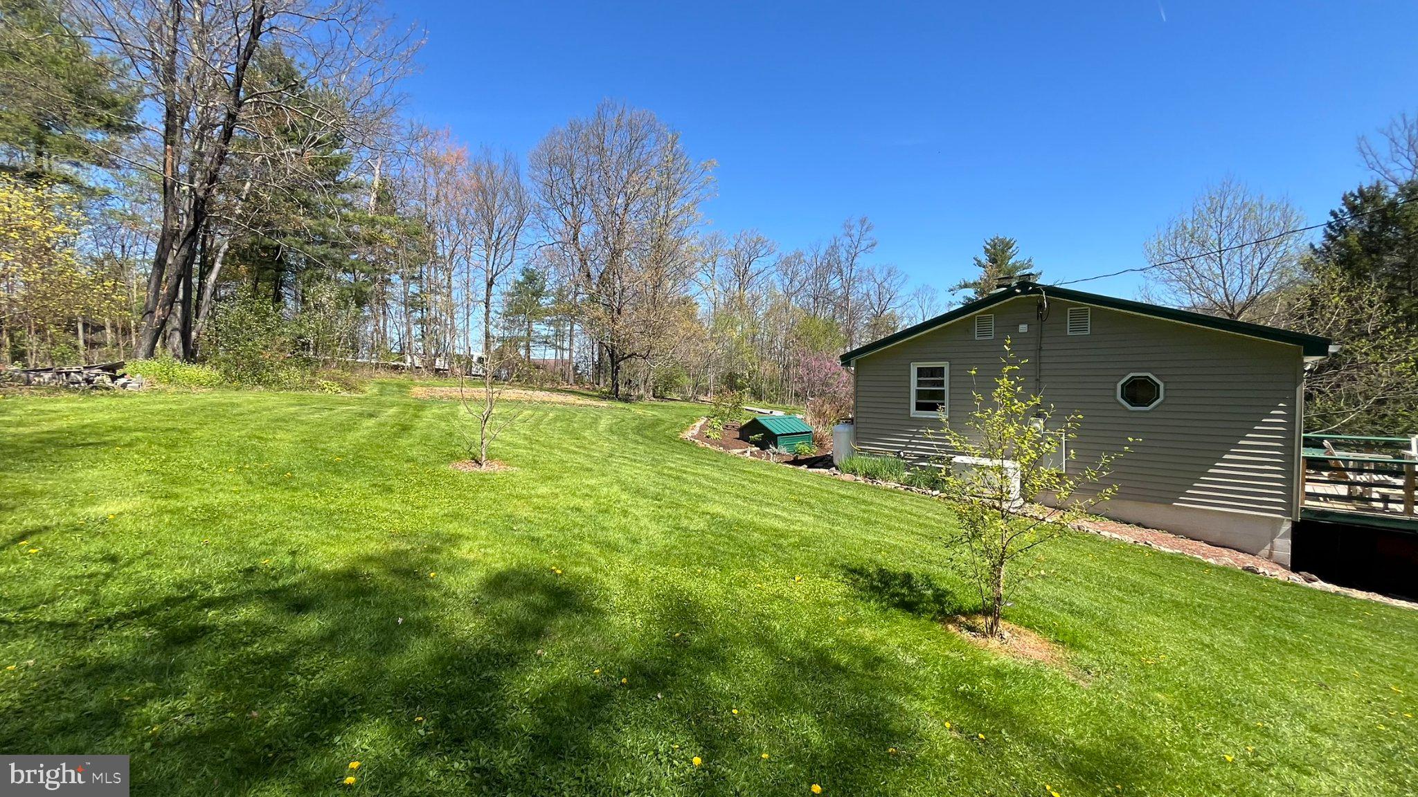 2290 Purdue Mountain Road Bellefonte, PA 16823 - Photo 28 of 48 Serene backyard with lush greenery.