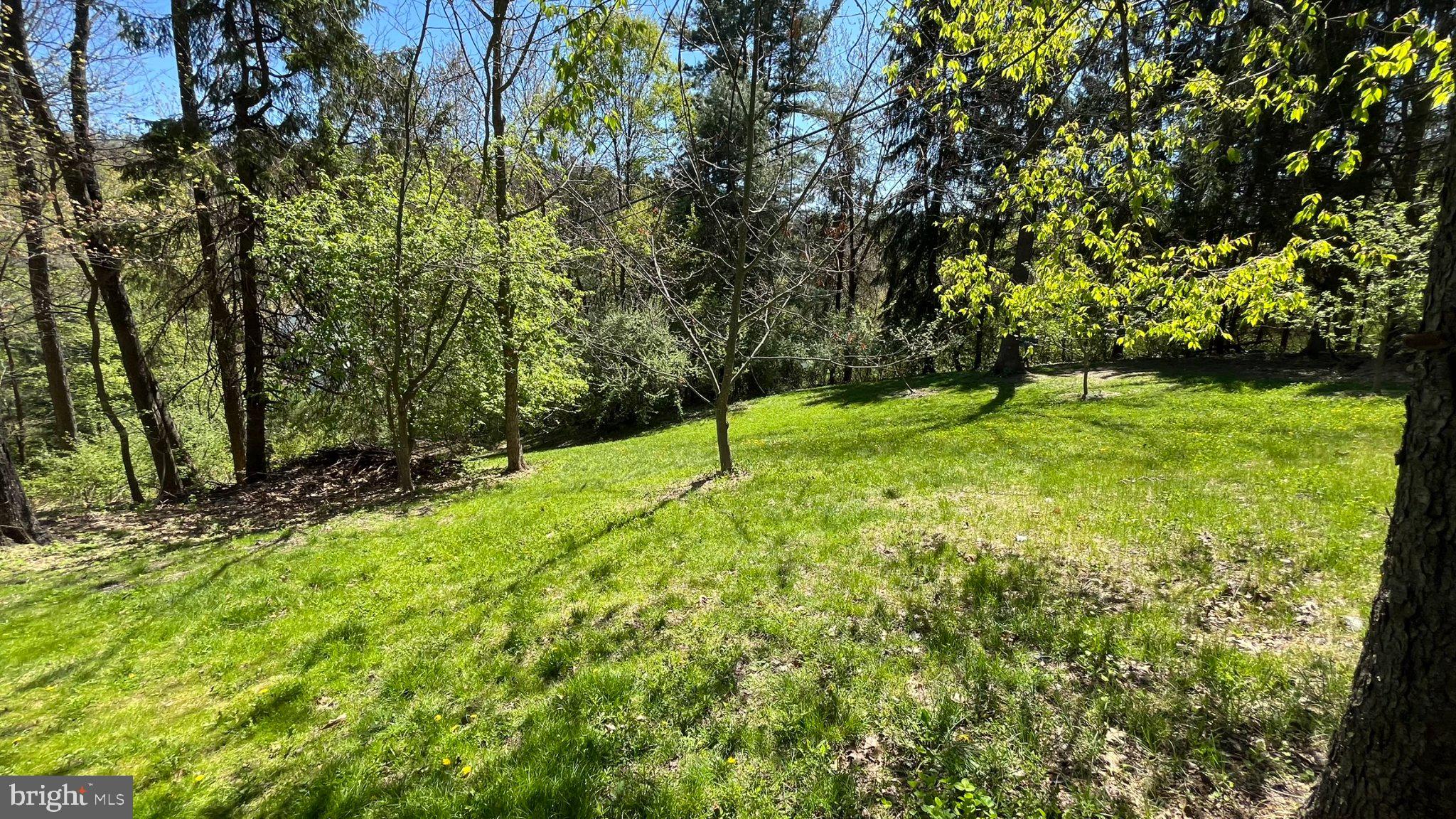 2290 Purdue Mountain Road Bellefonte, PA 16823 - Photo 40 of 48 Serene green oasis in nature's embrace.