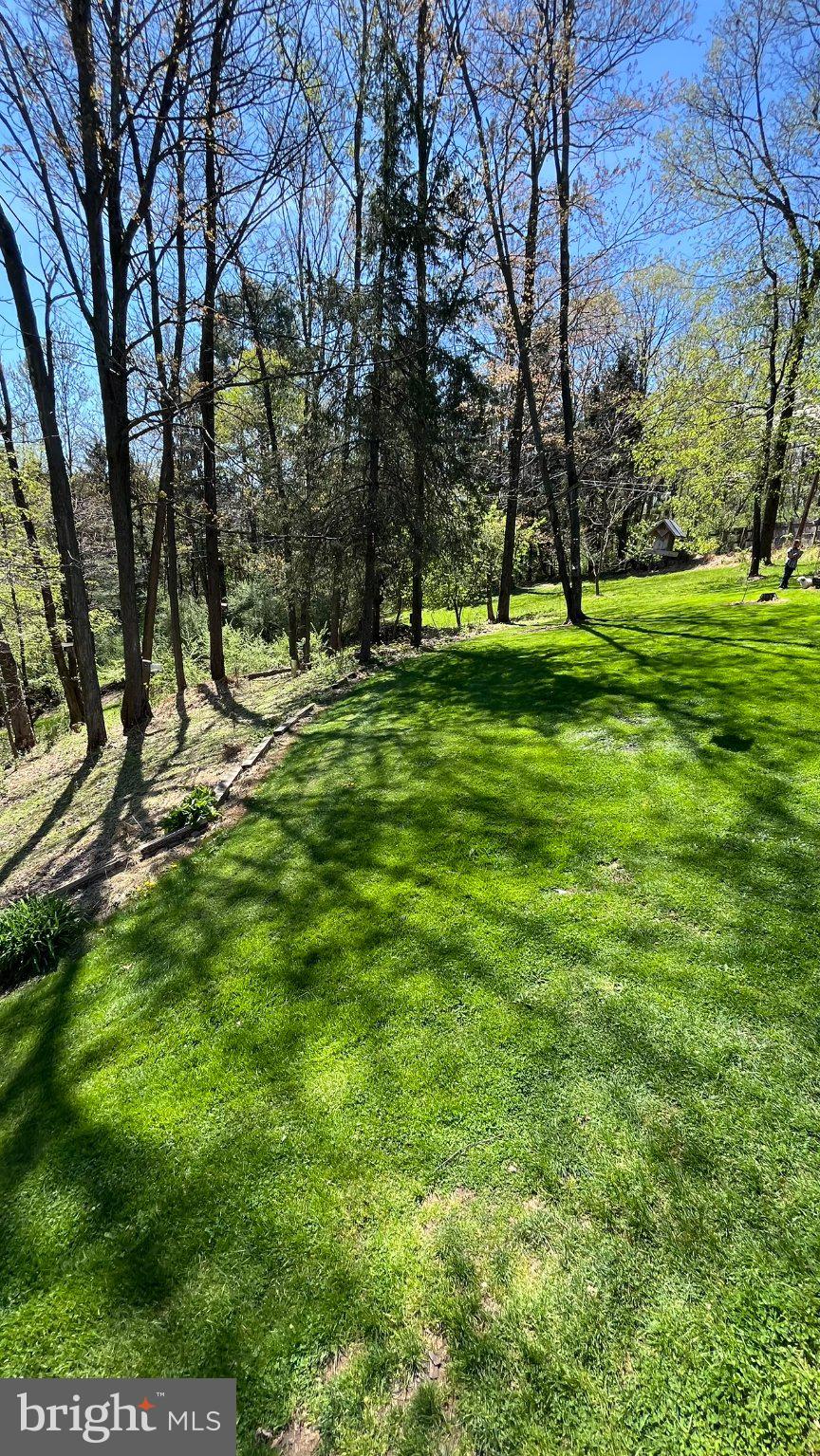 2290 Purdue Mountain Road Bellefonte, PA 16823 - Photo 41 of 48 Lush green lawn under clear skies.