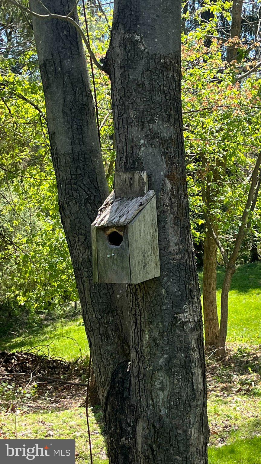 2290 Purdue Mountain Road Bellefonte, PA 16823 - Photo 42 of 48 Charming birdhouse in a lush setting.