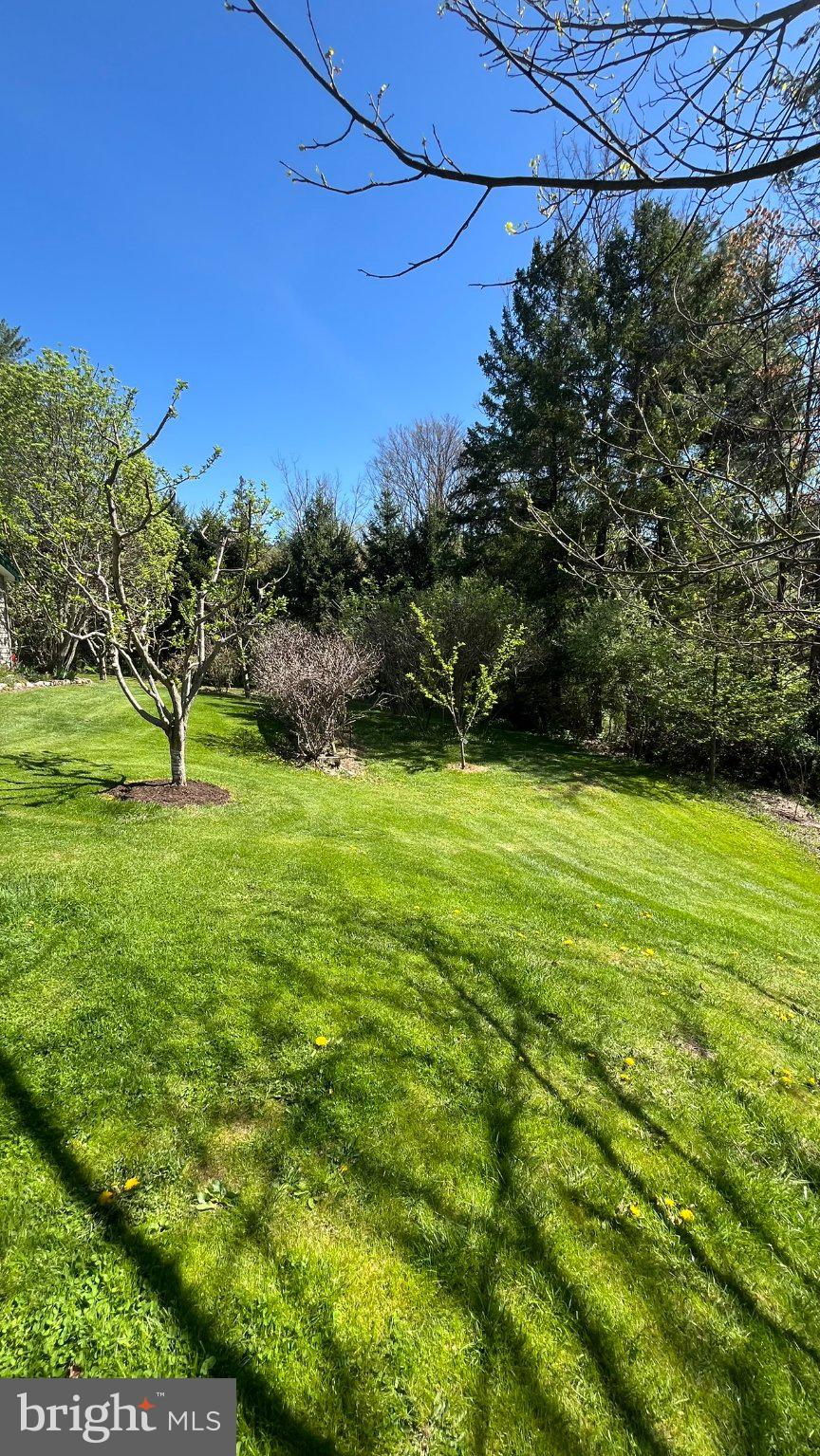 2290 Purdue Mountain Road Bellefonte, PA 16823 - Photo 44 of 48 Lush green oasis under clear skies.