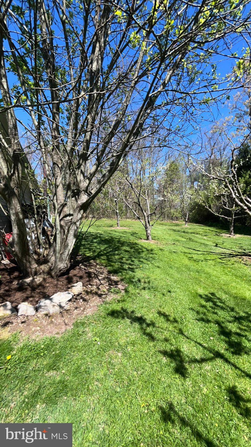 2290 Purdue Mountain Road Bellefonte, PA 16823 - Photo 45 of 48 Lush green oasis under clear skies.
