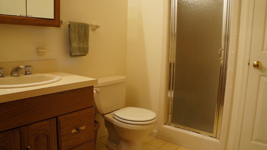 286 Beazley Road Ruckersville, VA 22968 - Photo 34 of 50 a bathroom with a sink a toilet and shower