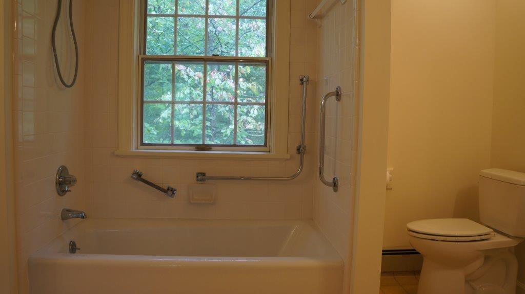286 Beazley Road Ruckersville, VA 22968 - Photo 43 of 50 a bathroom with a granite countertop toilet and a bathtub