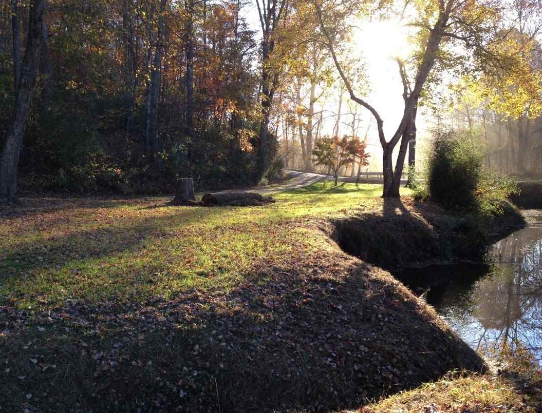 286 Beazley Road Ruckersville, VA 22968 - Photo 49 of 50 a view of yard with large trees