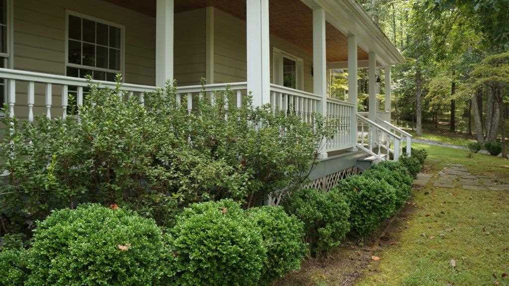 286 Beazley Road Ruckersville, VA 22968 - Photo 7 of 50 a view of a house with a yard and potted plants