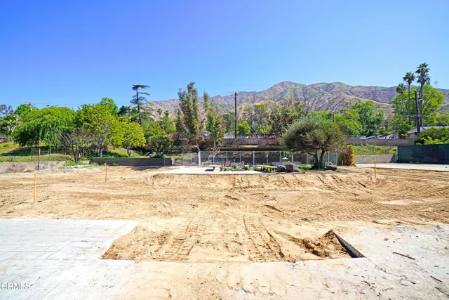 a view of a yard with plants and trees