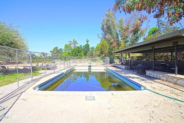 a view of a backyard with table and chairs potted plants and a palm tree