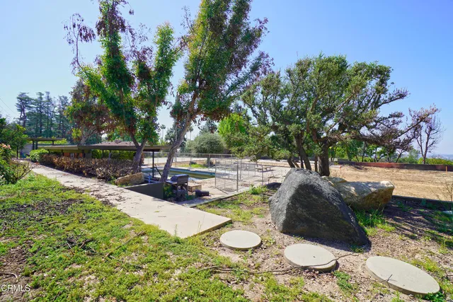 a view of a backyard with plants and a garden