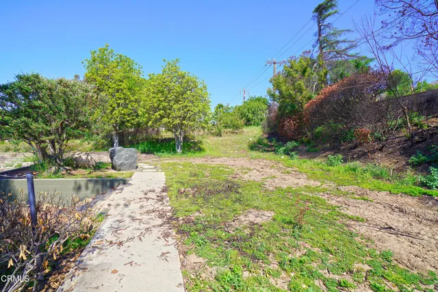 a view of that has a flower and a fire