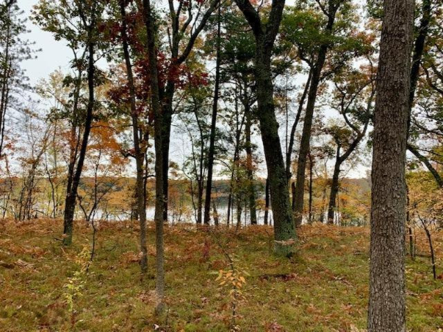 2-acres South Maple Road Branch, MI 49402 - Photo 2 of 8 Entering from South