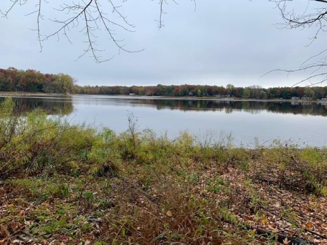 2-acres South Maple Road Branch, MI 49402 - Photo 5 of 8 Waterfront