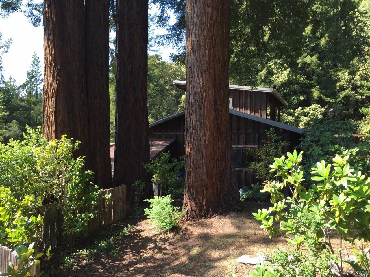 550 Holmes Ranch Road Philo, CA 95466 - Photo 1 of 1 a tree lined with flowers
