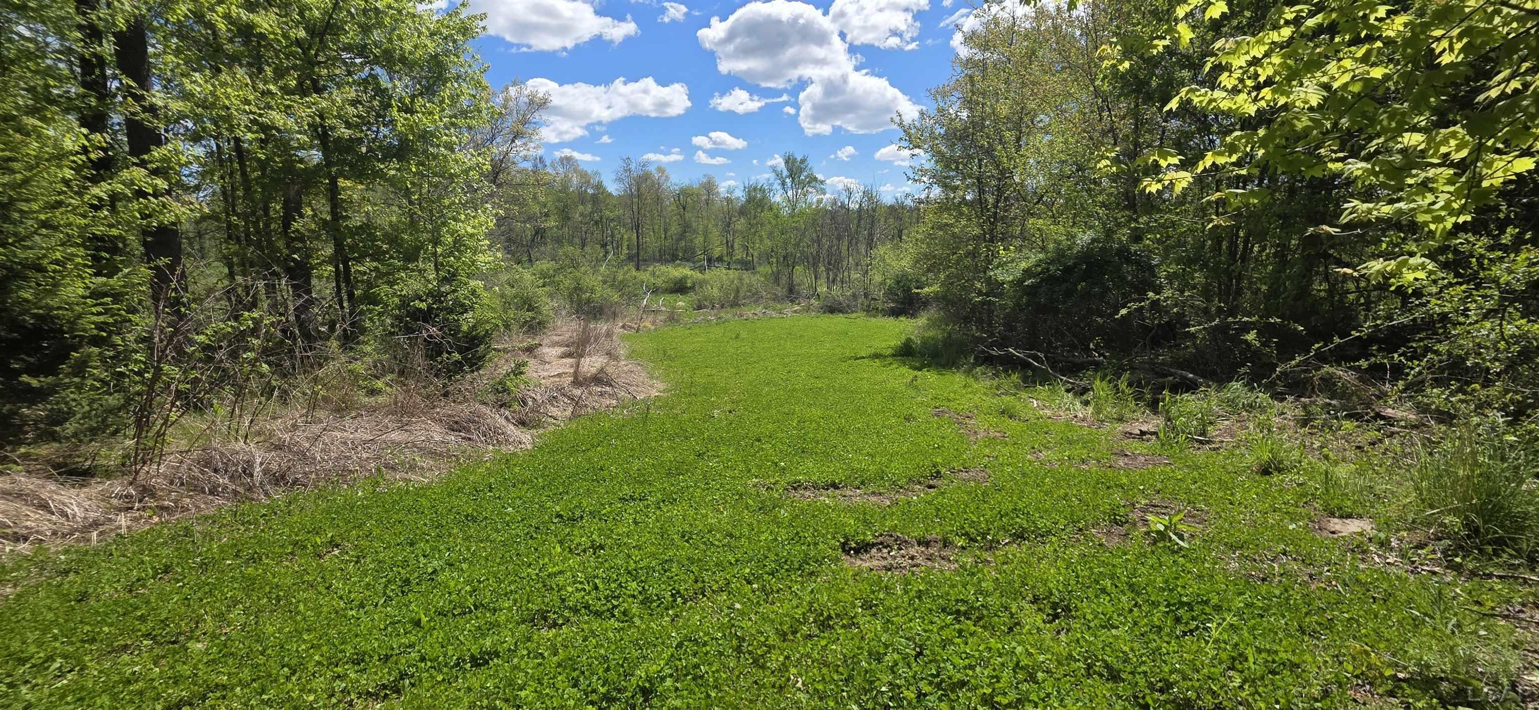 15252 27 Mile Road Albion, MI 49224 - Photo 2 of 57