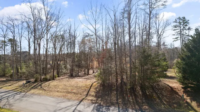 a view of a wooden wall with large trees