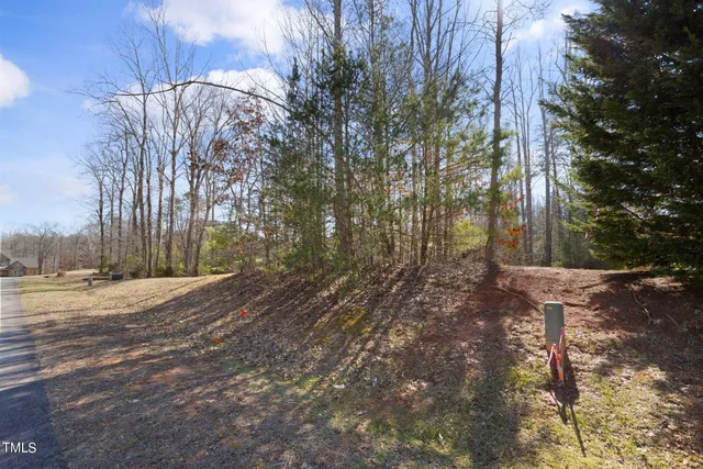 a view of a yard with plants and trees