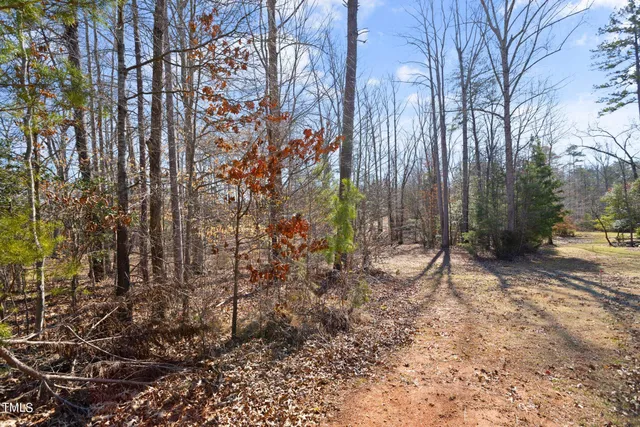 a backyard of a house with lots of green space