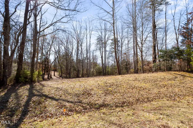 a view of a yard of the house