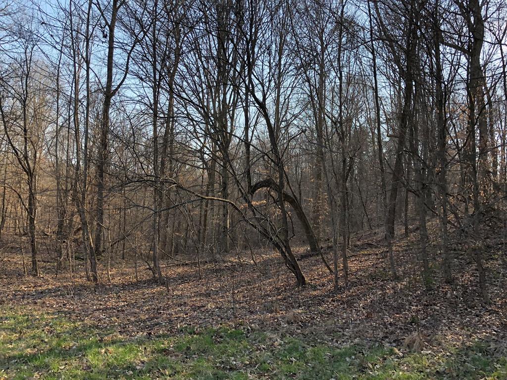 950 Johnney Harvey Road Breeding, KY 42715 - Photo 14 of 26 Gallery Image 14