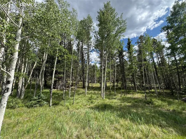 a view of outdoor space and garden