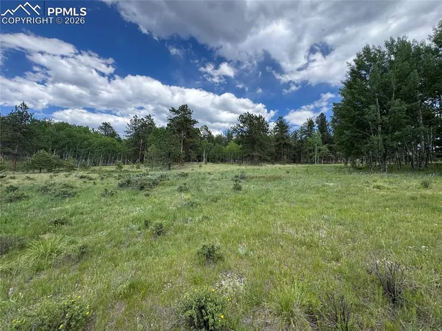 a view of grassy field with trees