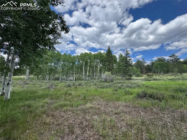 a view of a green field with lots of trees