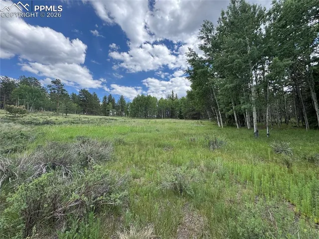a view of outdoor space with trees all around