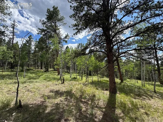 $159,000 | 117 Vagabond Creek Terrace, Lake George, CO 80827