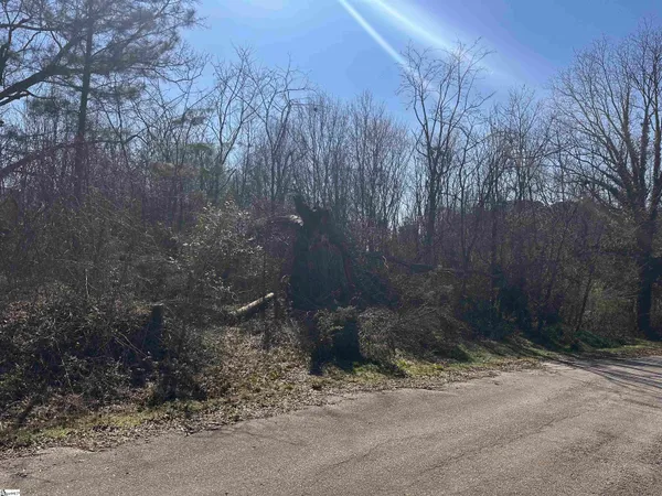 $18,000 | Lot 13 Wenzick Street, Anderson, SC 29625